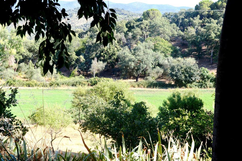 Casa di campagna La Cartuja De Cazalla *