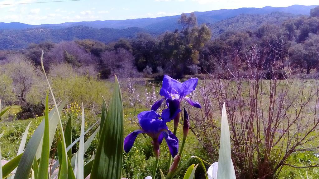 La Cartuja De Cazalla * Cazalla de la Sierra